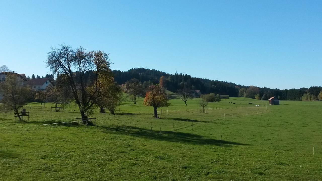 Herzberger Ferienwohnungen Scheidegg Exterior photo